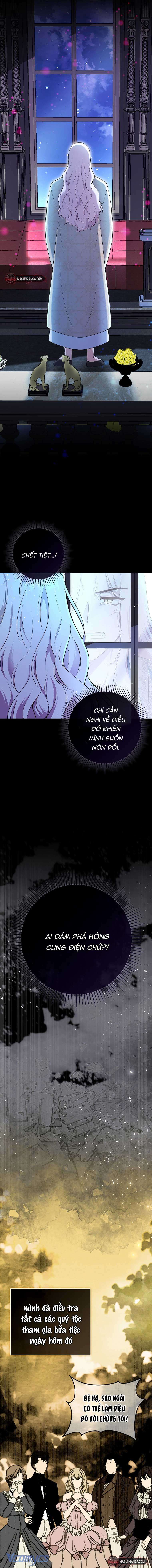 Sóc Con Tài Năng Chap 76 - Next Chap 77