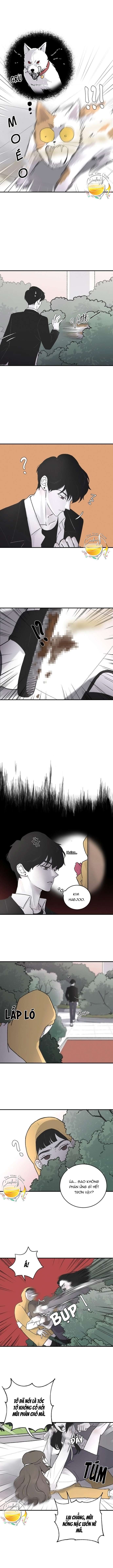 Ba Anh Trai Cực Phẩm Của Tôi Chap 4 - Trang 3