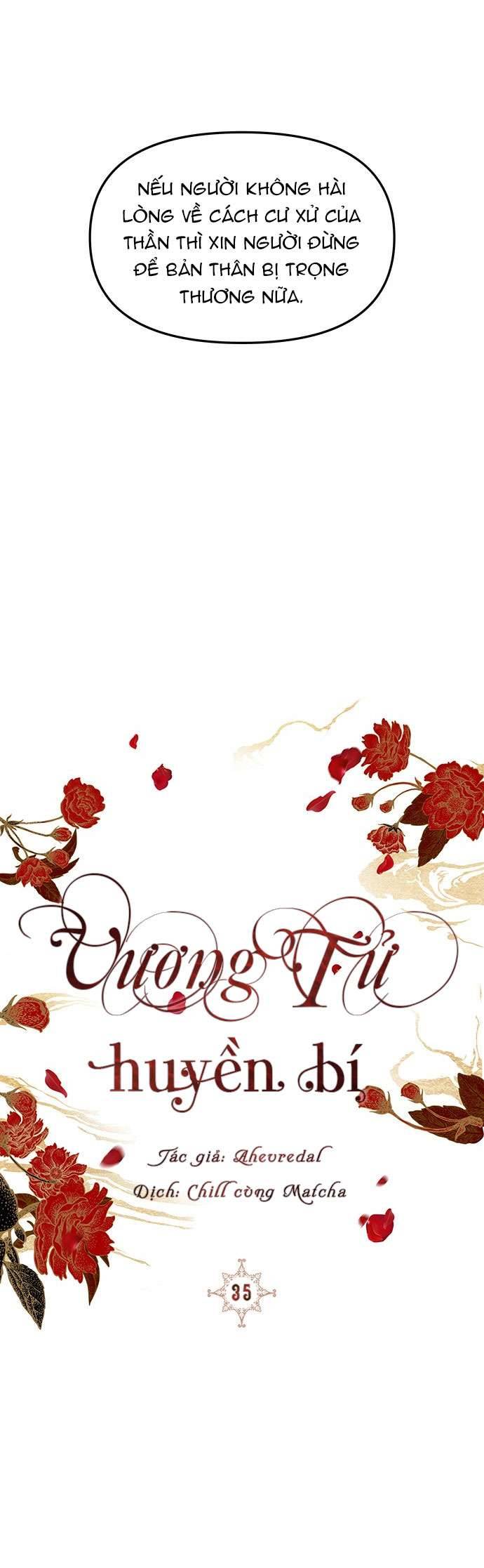 Vương Tử Huyền Bí Chapter 35 - Next Chapter 36