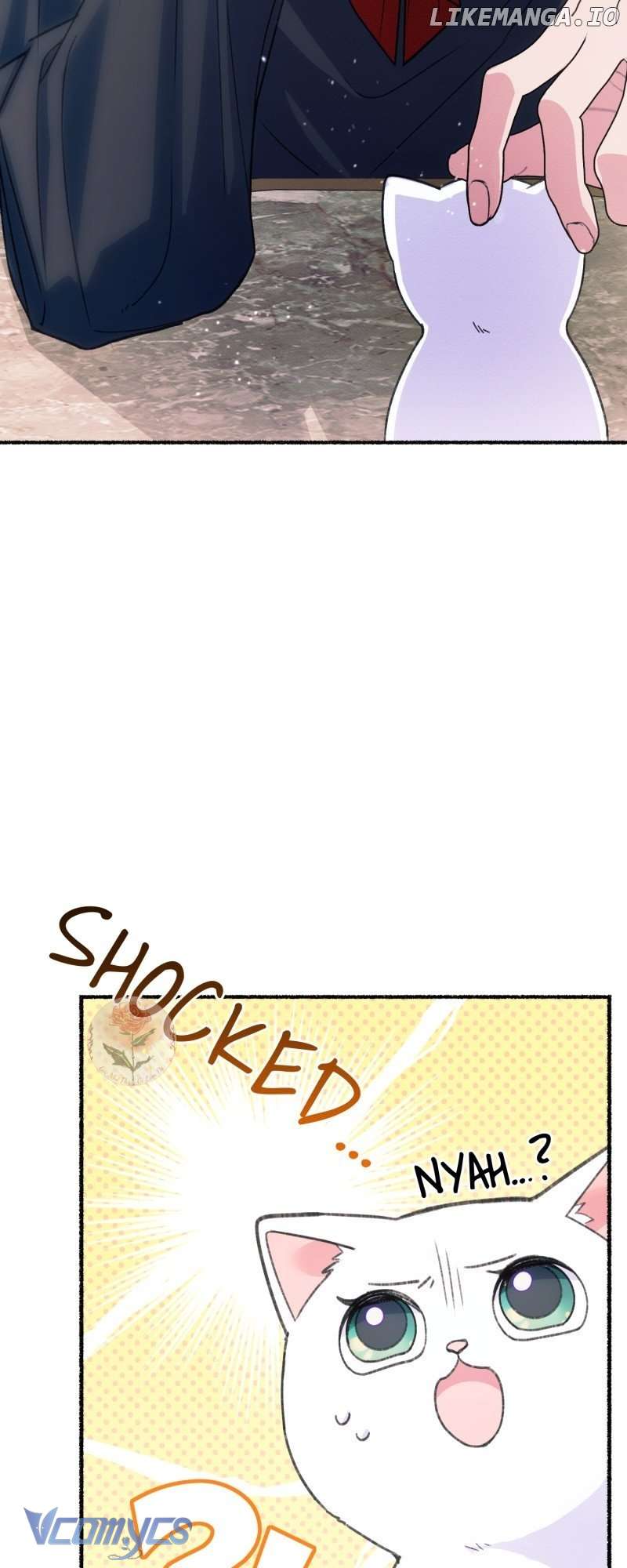 Trở Thành Chú Mèo Ngủ Cùng Bạo Chúa Chapter 1 - Trang 3