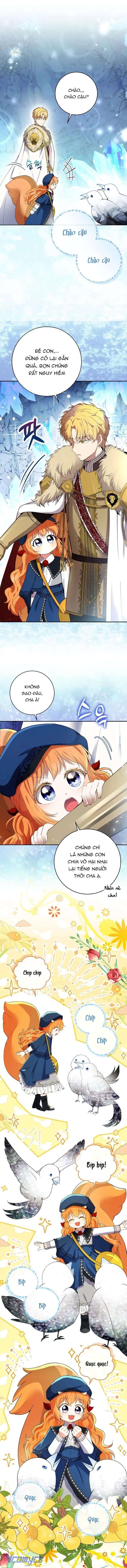 Sóc Con Tài Năng Chap 50 - Next Chap 51