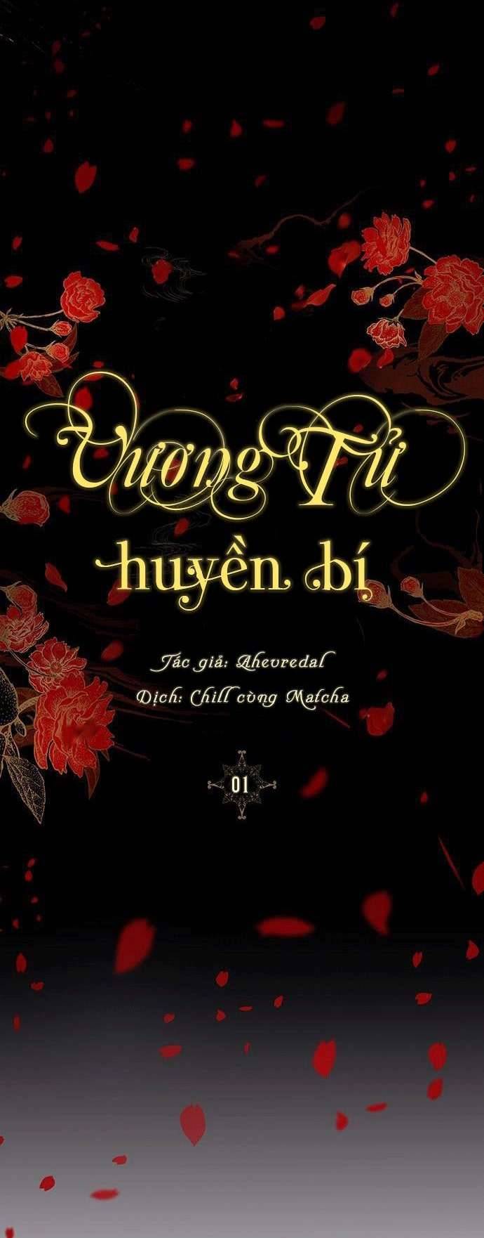 Vương Tử Huyền Bí Chapter 1 - Next Chapter 2