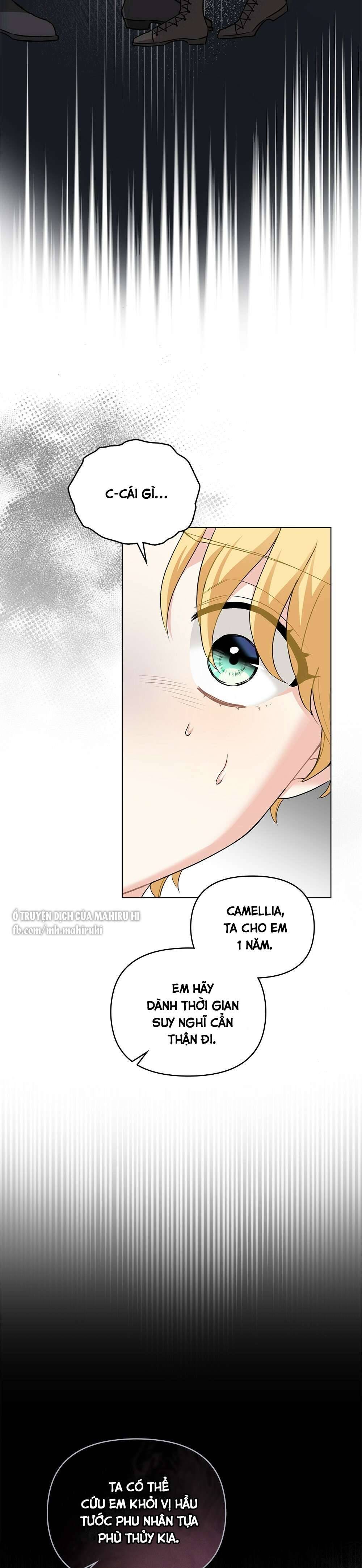 Tìm Lại Camellia Chapter 35 - Trang 4
