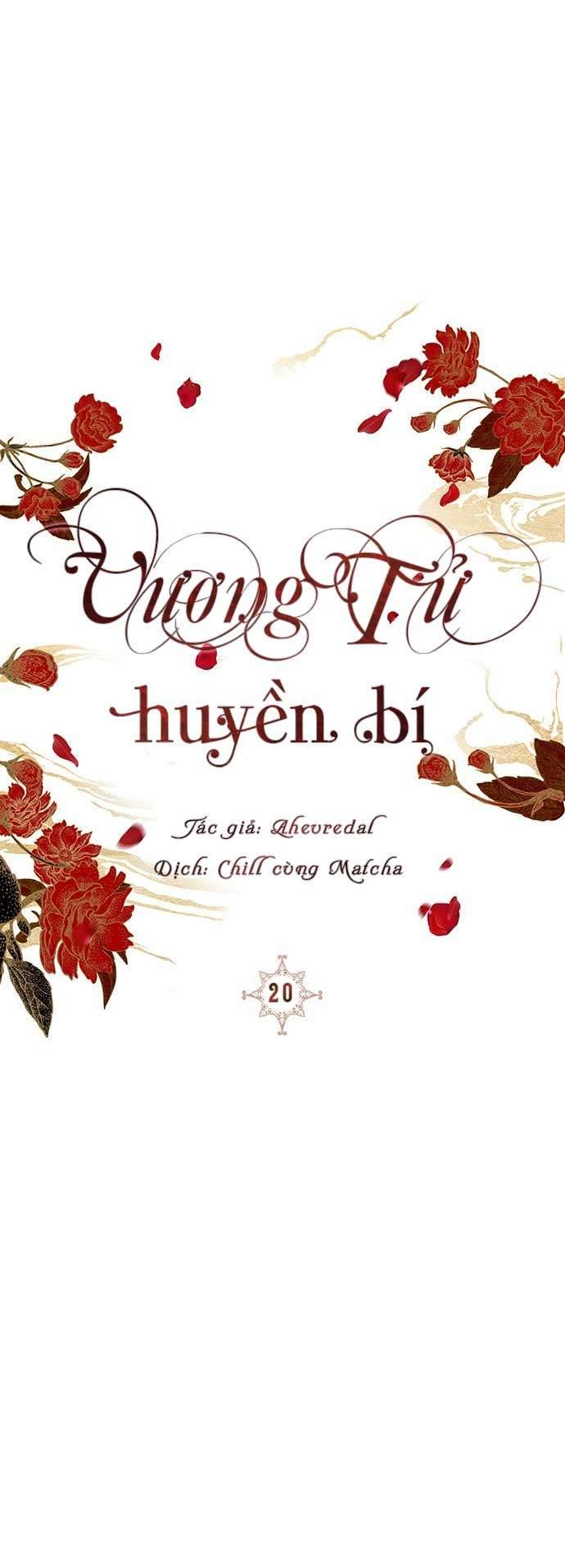 Vương Tử Huyền Bí Chapter 20 - Next Chapter 21