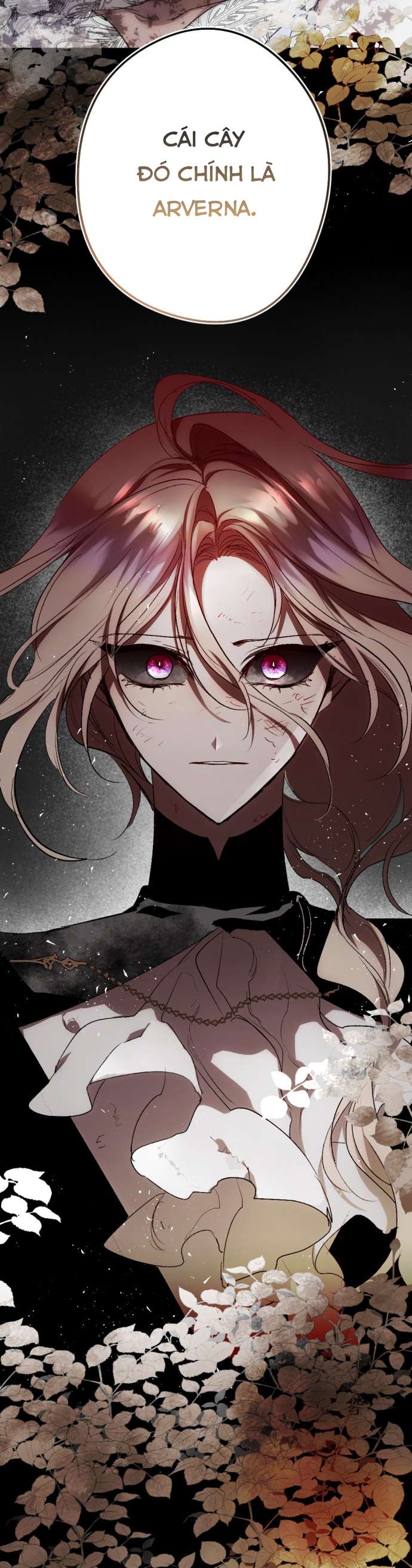 Lời Thú Nhận Của Chúa Tể Bóng Tối Chap 115 - Trang 4