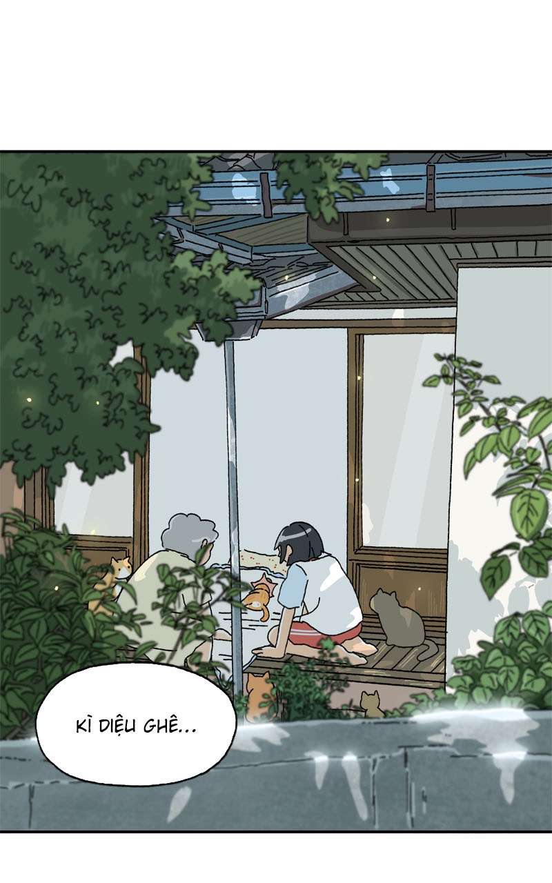 Chú Mèo Tata Chapter 2 - Trang 3