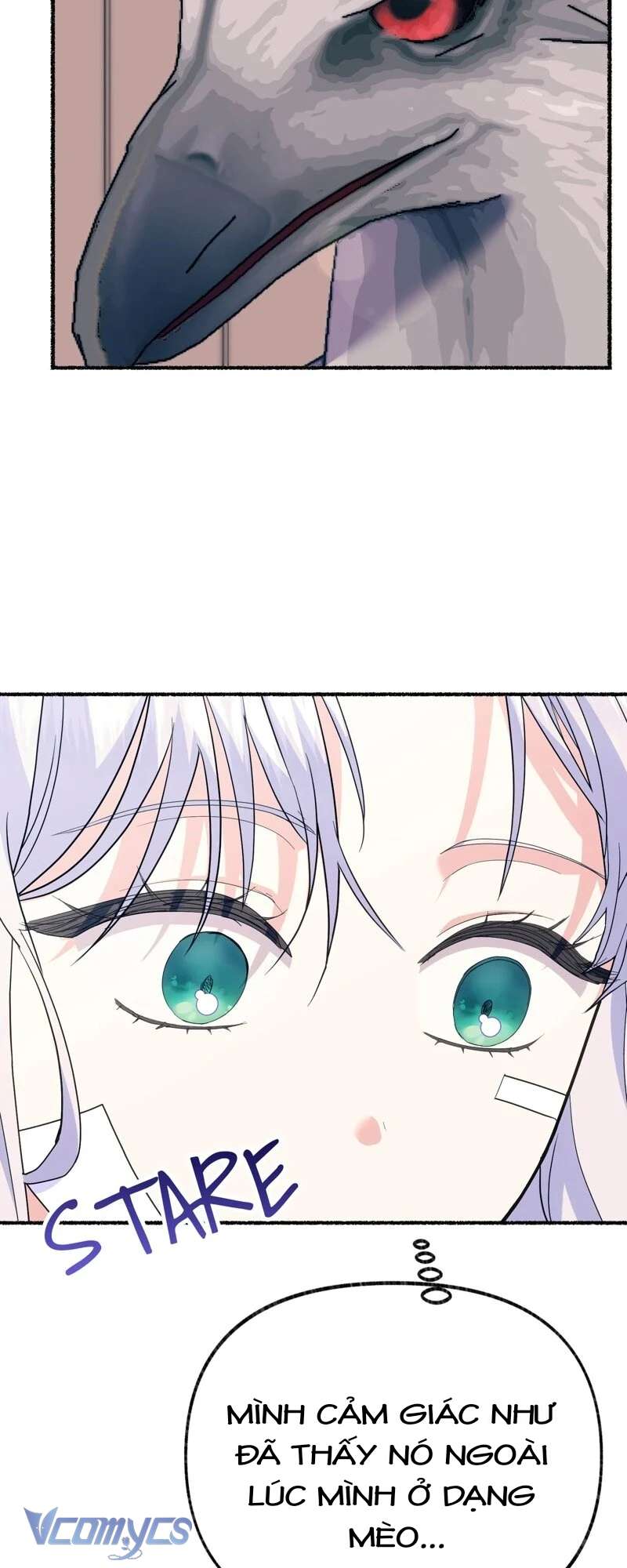 Trở Thành Chú Mèo Ngủ Cùng Bạo Chúa Chapter 36 - Trang 3