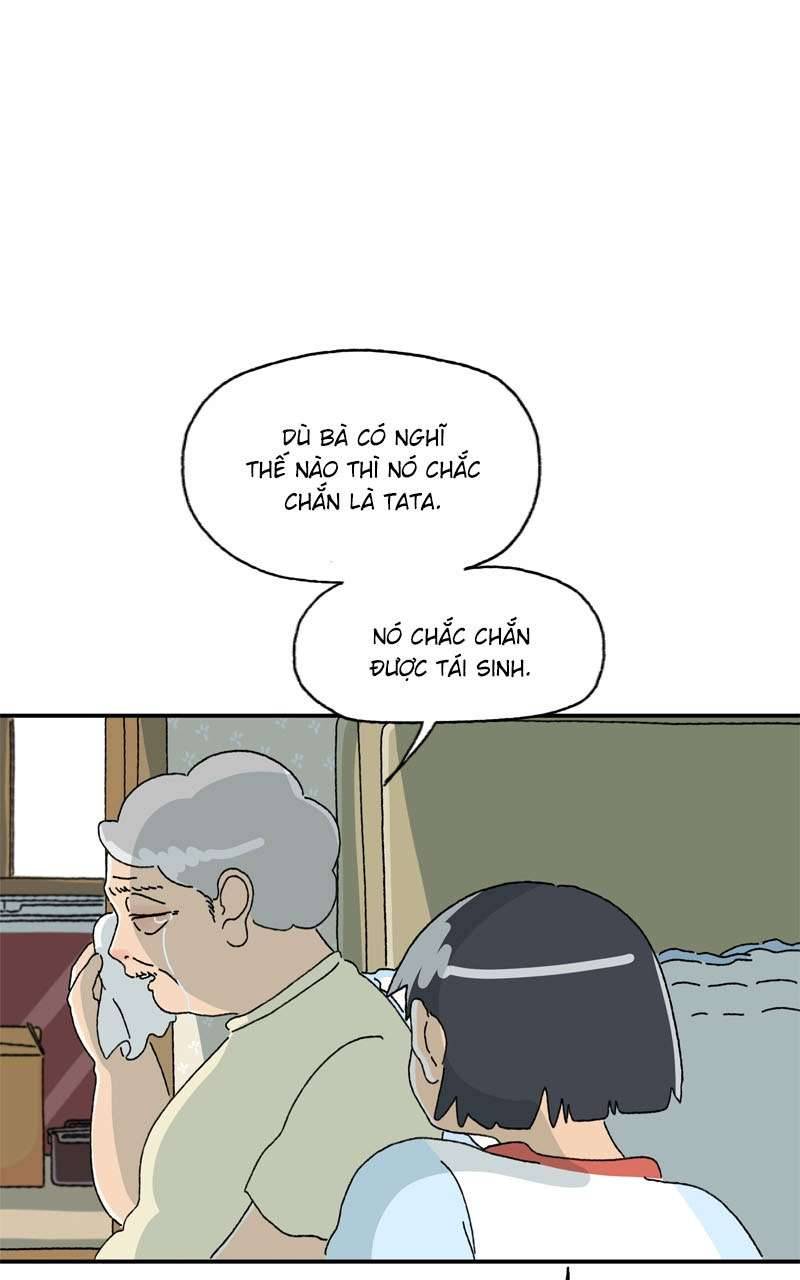 Chú Mèo Tata Chapter 3 - Trang 3