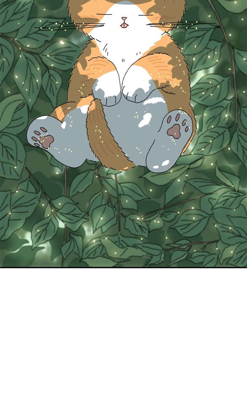 Chú Mèo Tata Chapter 2 - Trang 3