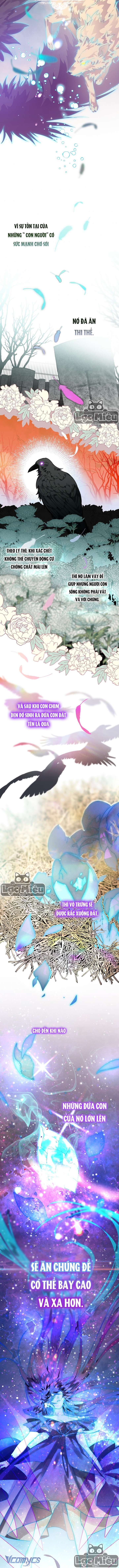 Bỗng Nhiên Tôi Trở Thành Quạ Đen!! Chapter 11 - Trang 4