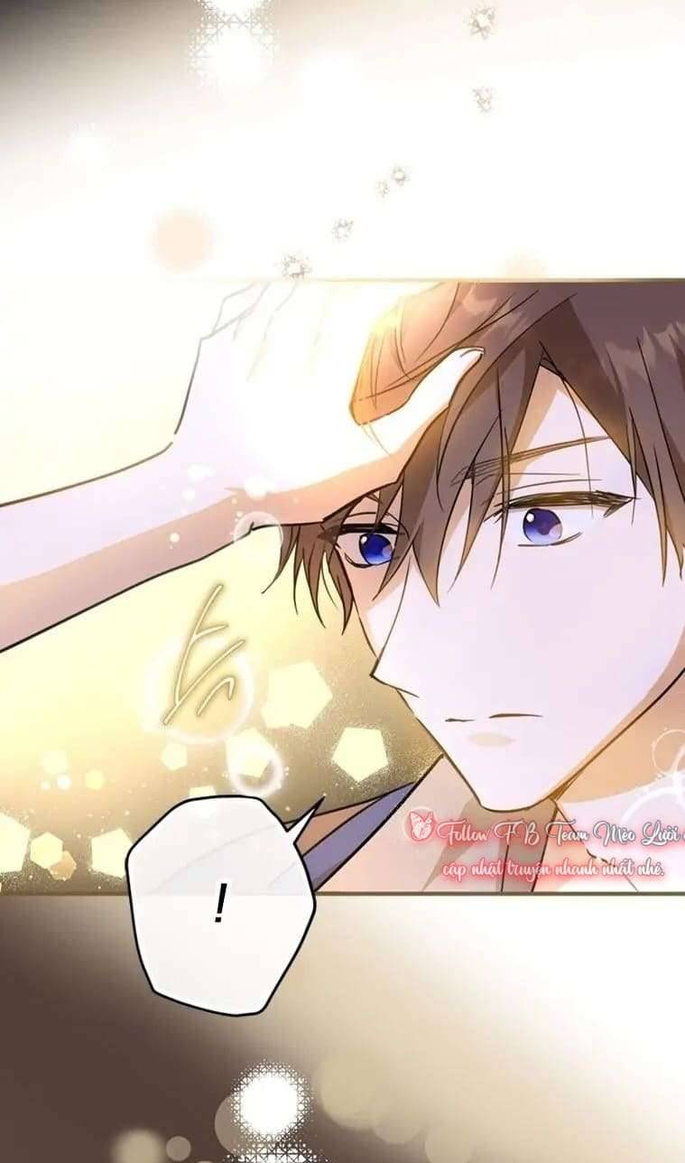 Tôi Đã Bảo Nữ Chính Đang Cải Trang Cơ Mà! Chap 15 - Trang 2