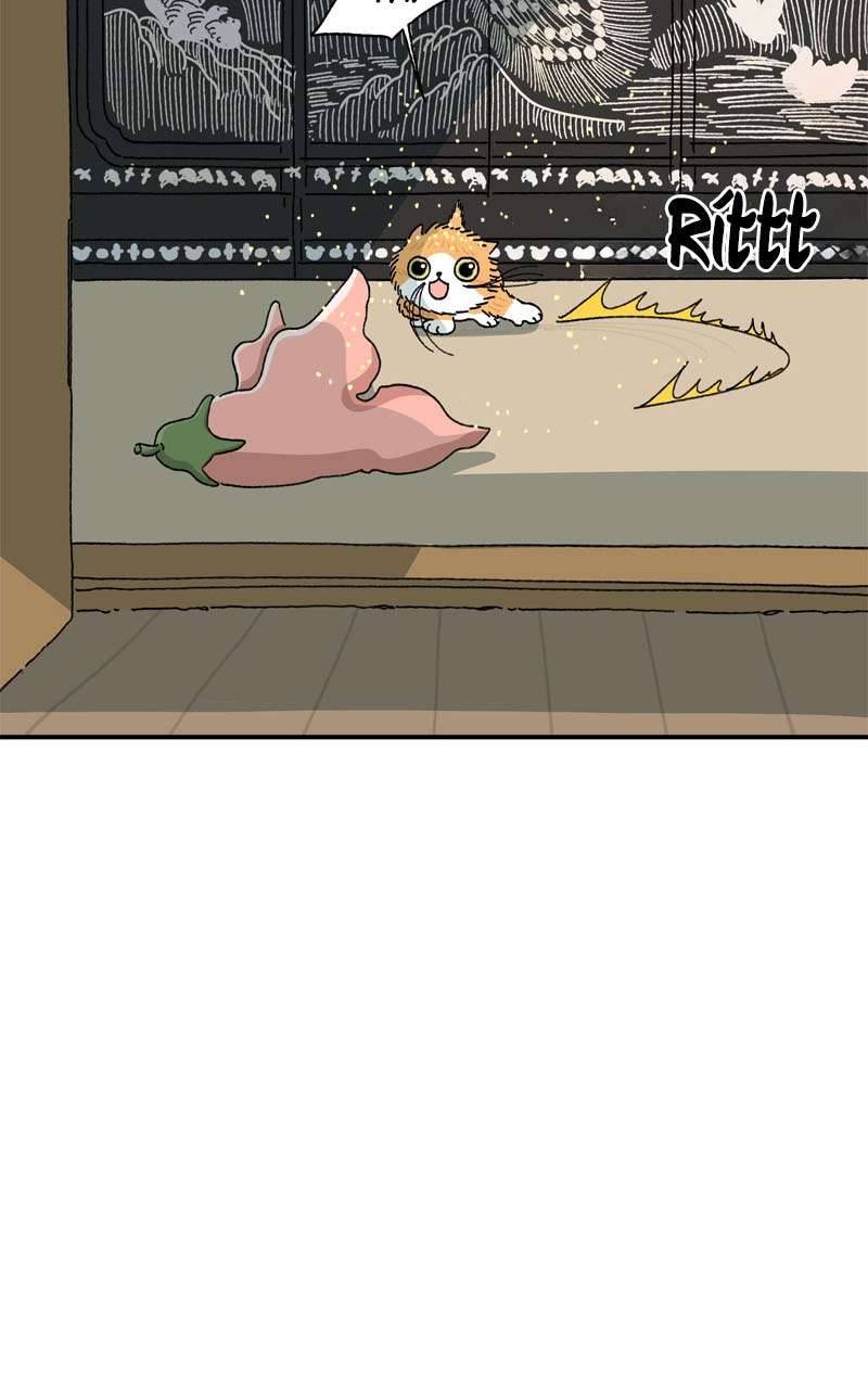 Chú Mèo Tata Chapter 3 - Trang 3