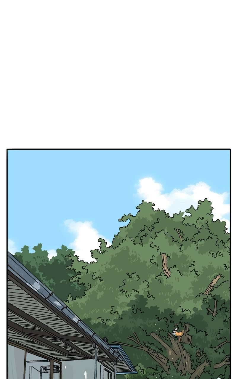 Chú Mèo Tata Chapter 2 - Trang 3