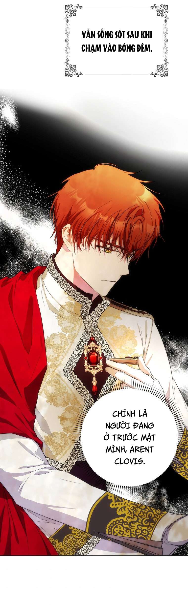 Tôi Trở Thành Vợ Của Nam Chính Chap 39 - Trang 3