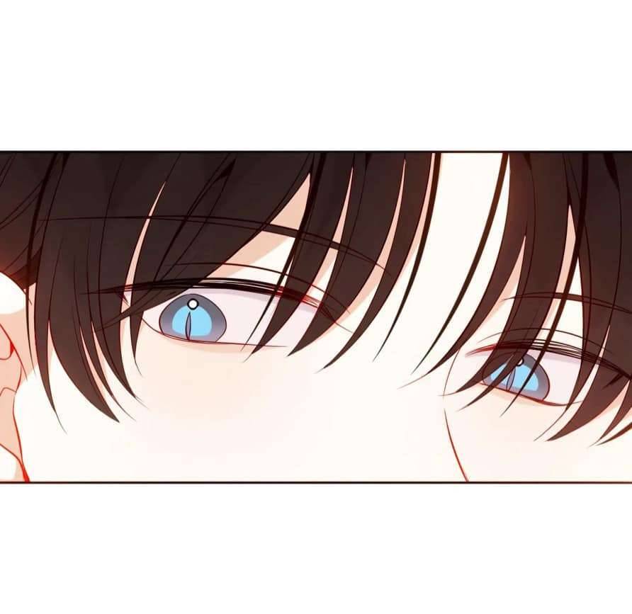 Quán Kịch Bản Trần Mộng Chapter 66 - Next Chapter 67