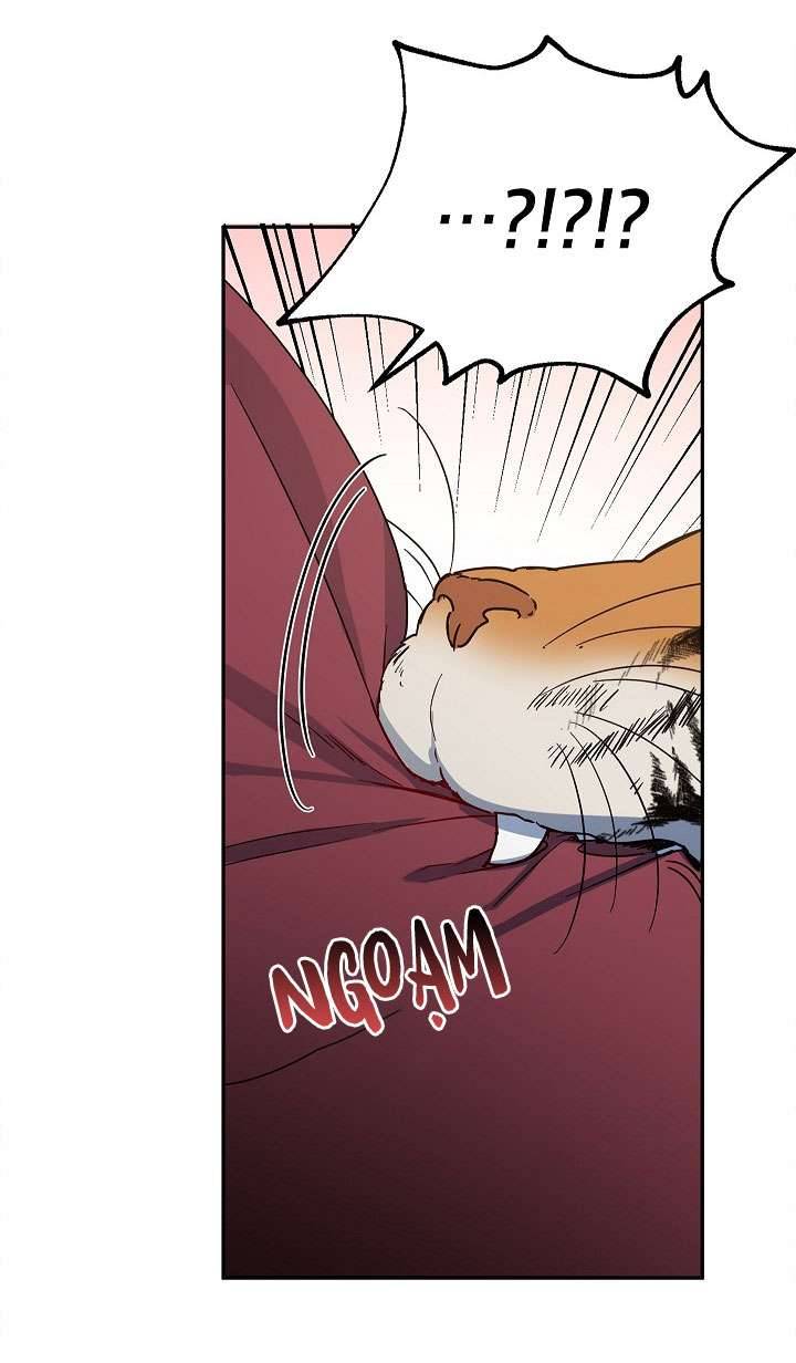 Phương Pháp Trở Thành Con Gái Của Người Hùng Bóng Đêm Chap 40 - Trang 2