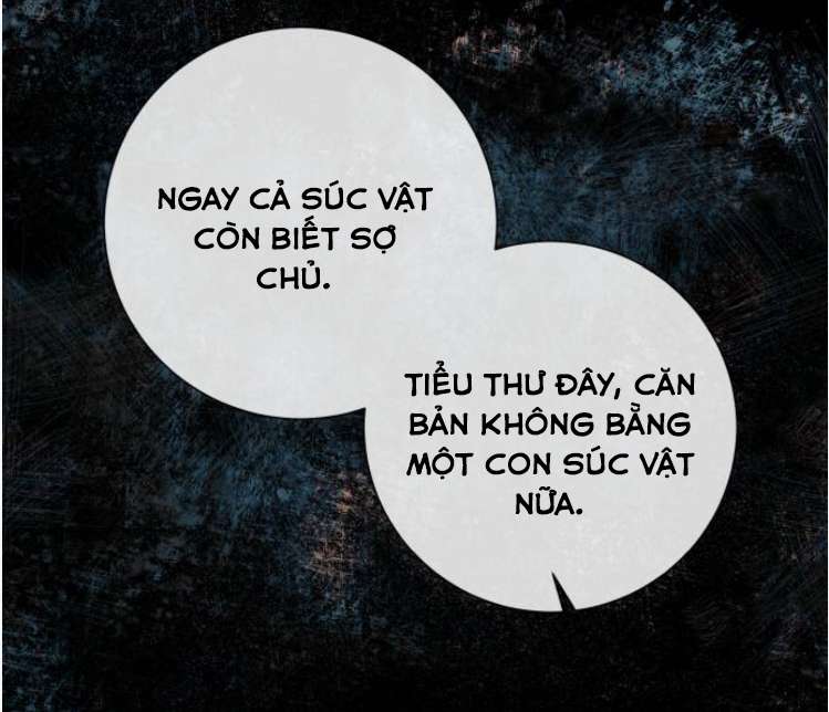 Tôi Tưởng Đó Chỉ Là Tiểu Thuyết Trọng Sinh Bình Thường Chapter 26 - Trang 4