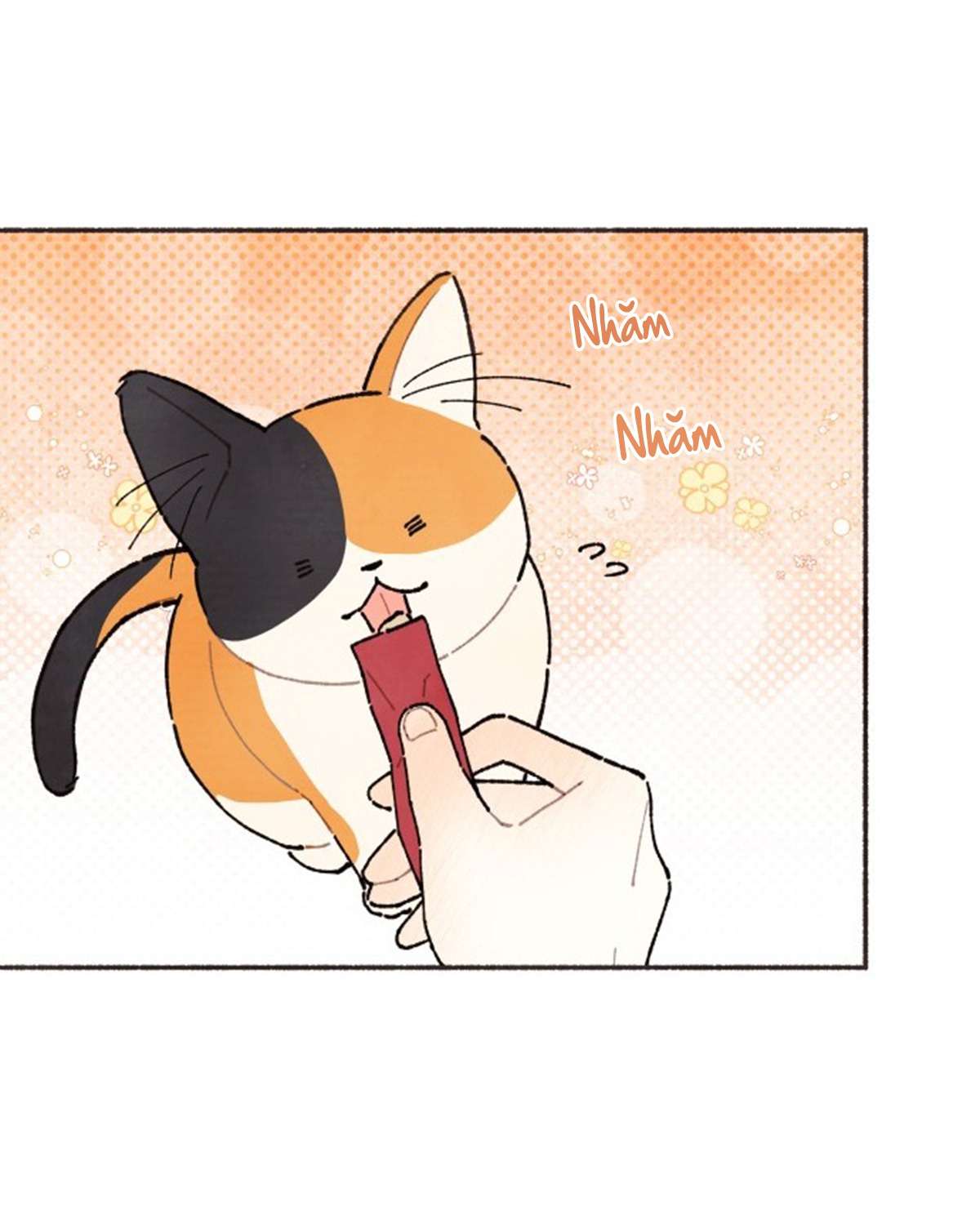 Cảm Xúc Chuyển Giao Chapter 1 - Next Chapter 2