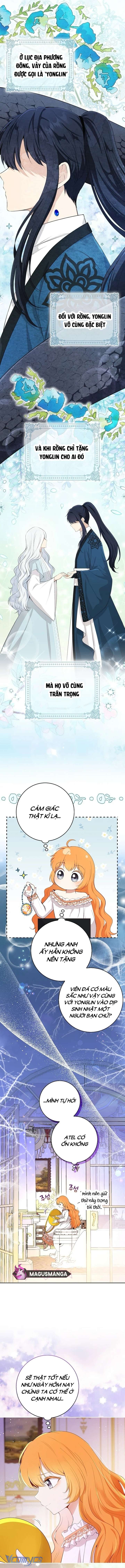 Sóc Con Tài Năng Chap 82 - Trang 2