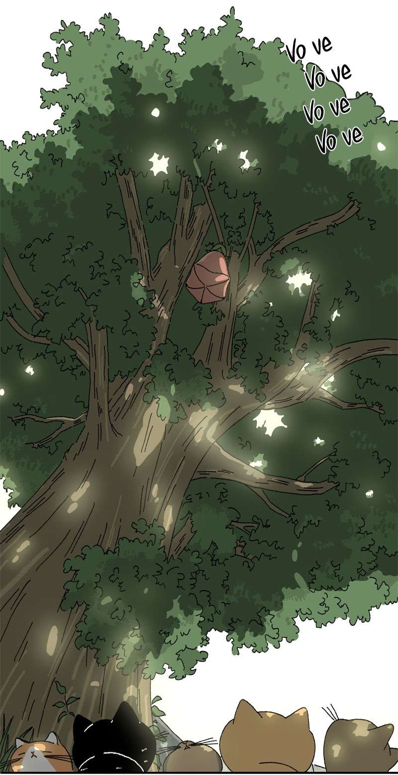 Chú Mèo Tata Chapter 1 - Next Chapter 2