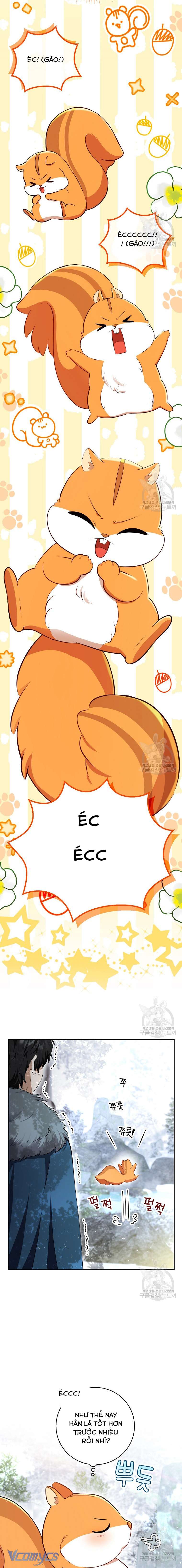 Sóc Con Tài Năng Chap 61 - Next Chap 62