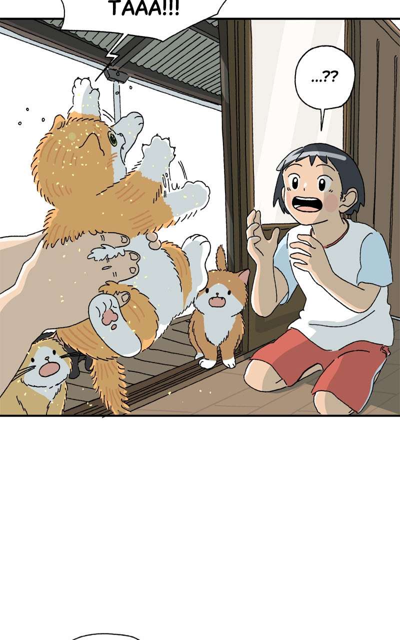 Chú Mèo Tata Chapter 3 - Trang 3