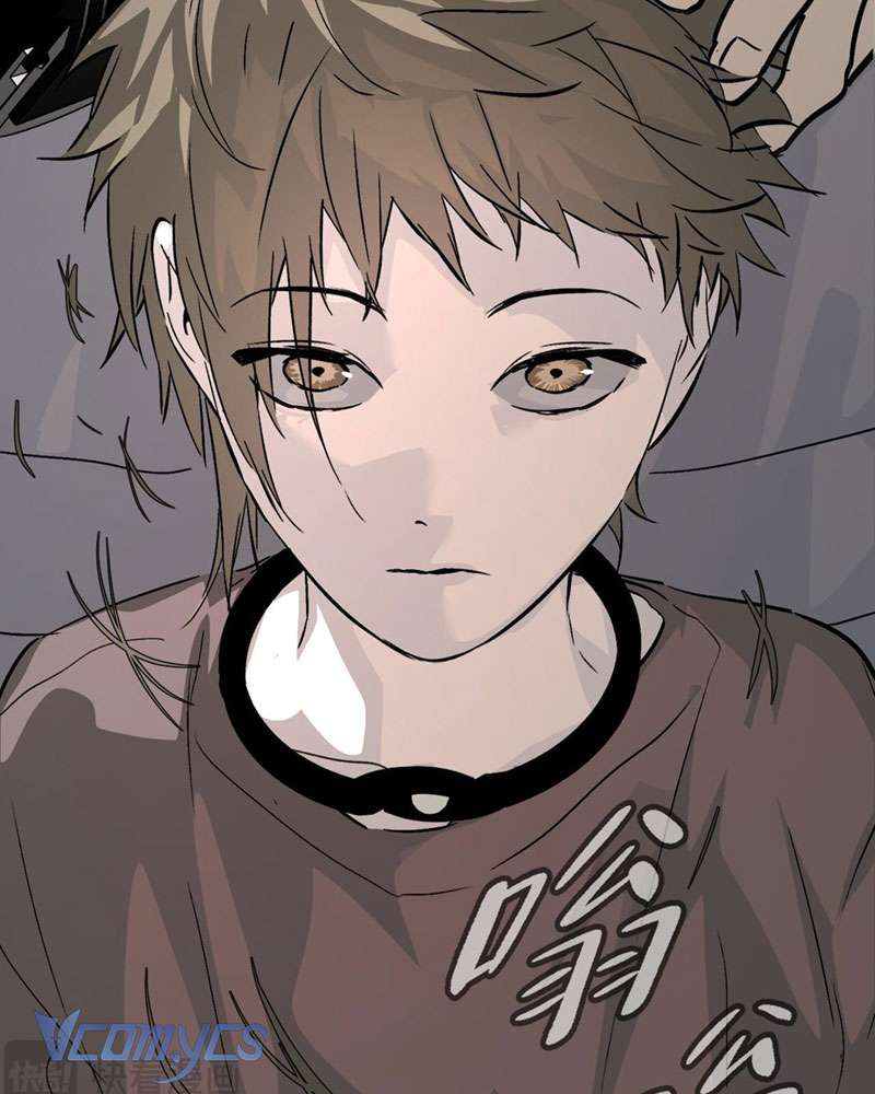 Ác Chi Hoàn Chapter 17 - Trang 4