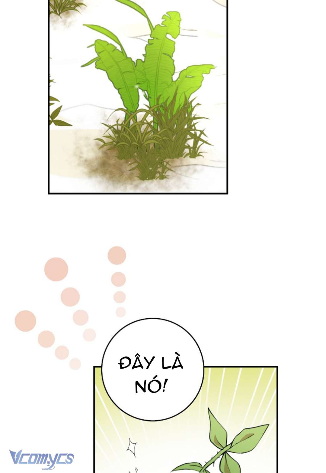 Sóc Con Tài Năng Chap 8 - Next Chap 9