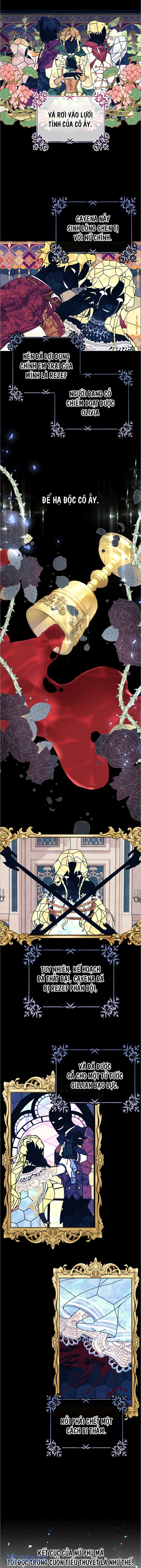 Chợ Review Nhà Họ Hoàng Chap Rối - Trang 2