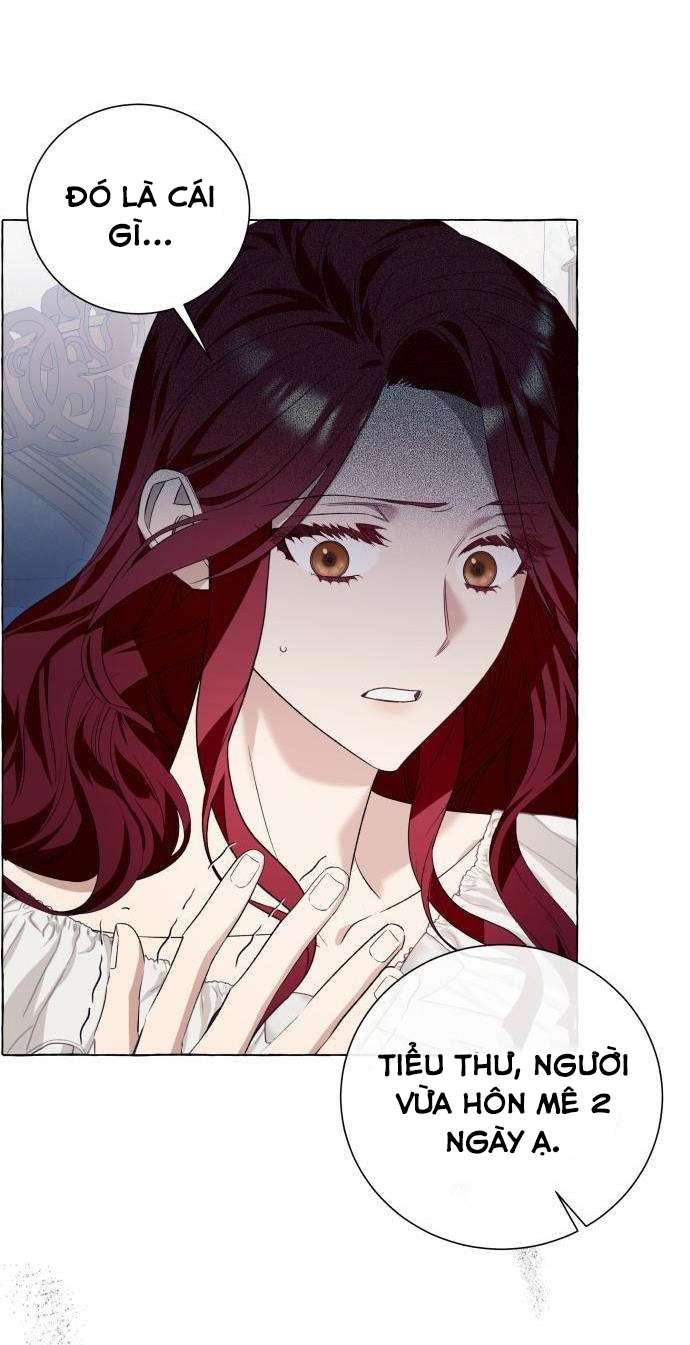 Tôi Tưởng Đó Chỉ Là Tiểu Thuyết Trọng Sinh Bình Thường Chapter 19 - Trang 4