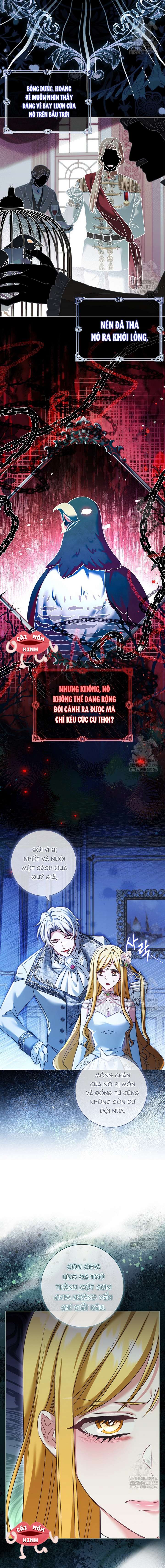 Tôi Phải Mau Chóng Kết Hôn Vì Thời Gian Có Hạn Chapter 23 - Trang 4