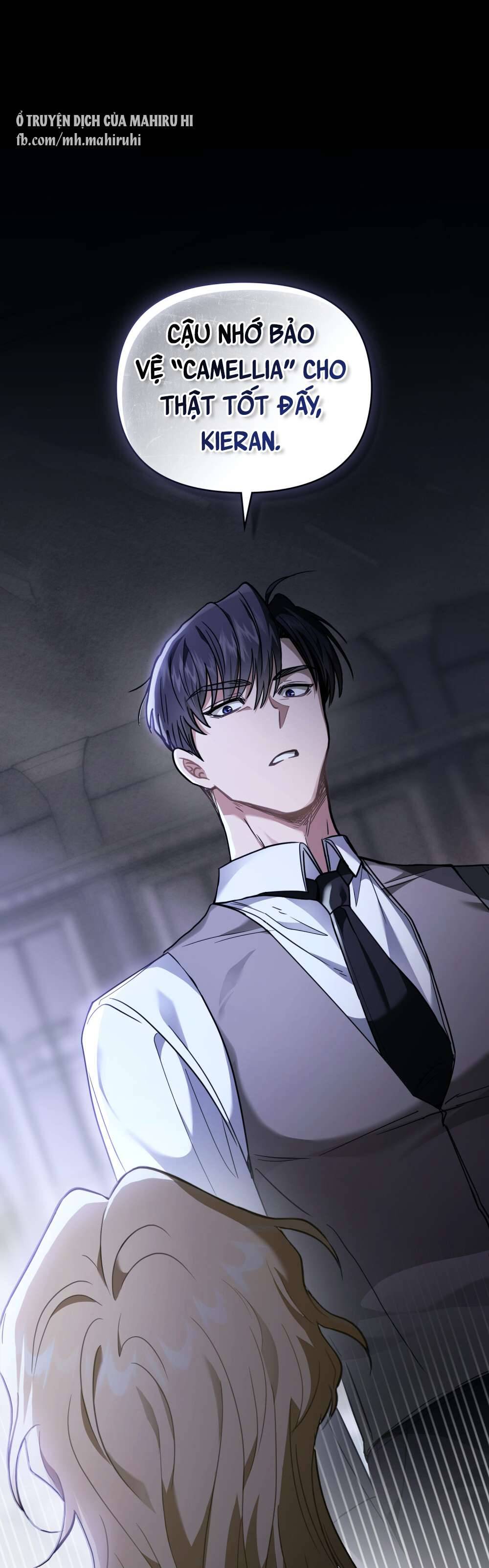 Tìm Lại Camellia Chapter 67 - Trang 4