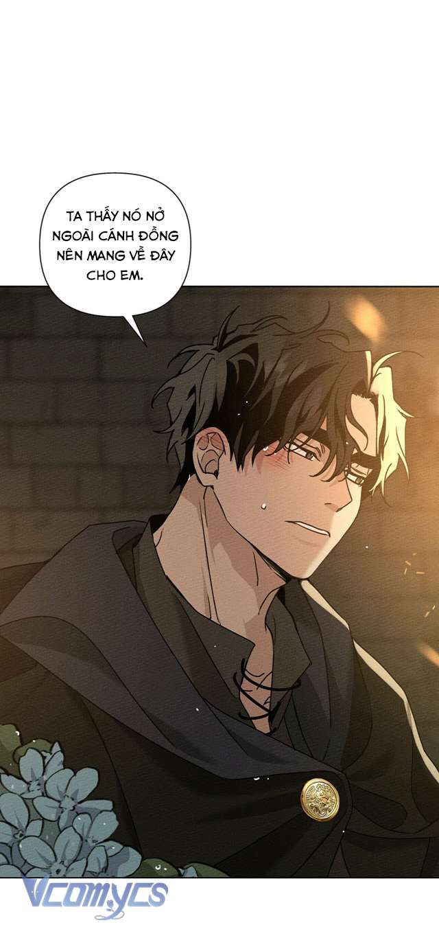 Dưới Bóng Cây Sồi Chap 13 - Trang 4