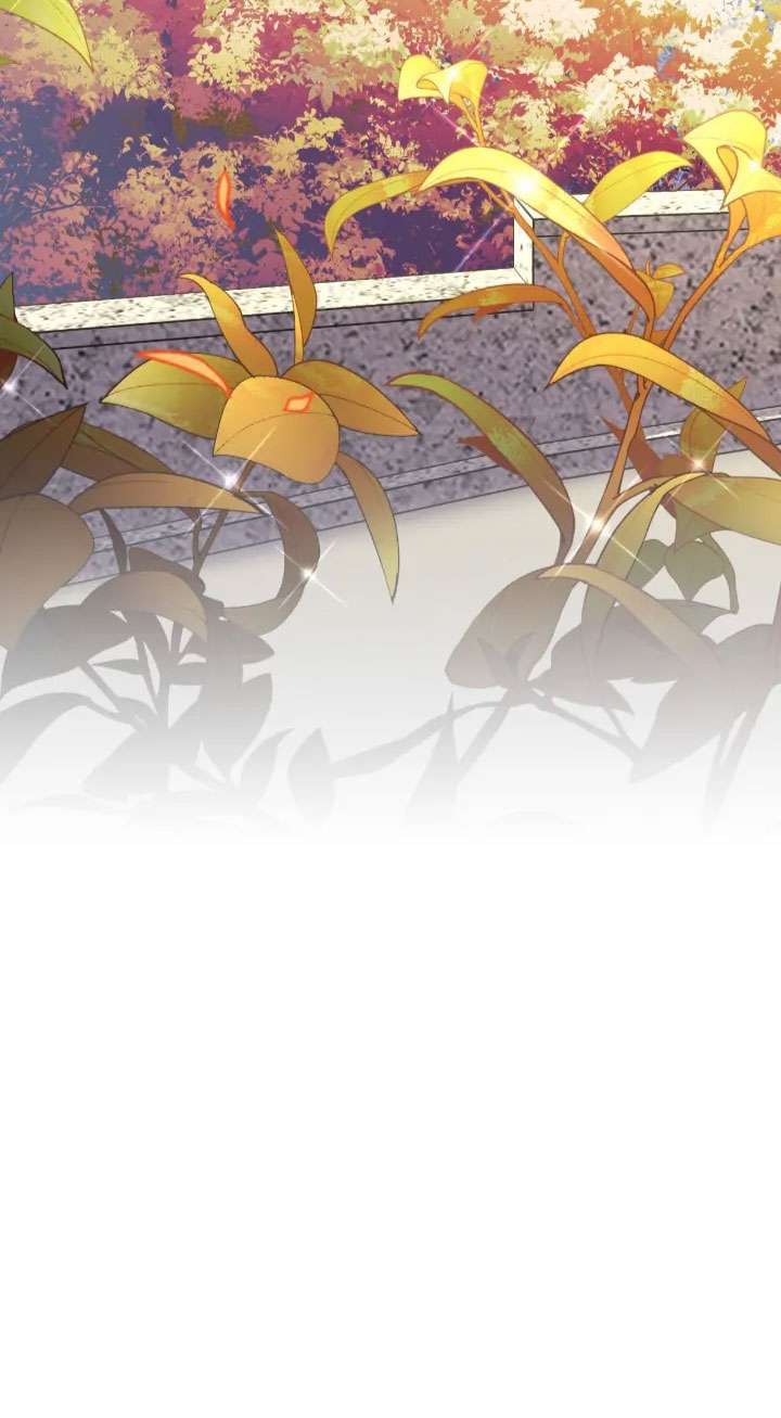 Lâu Đài Giam Cầm Chap 1 - Next 