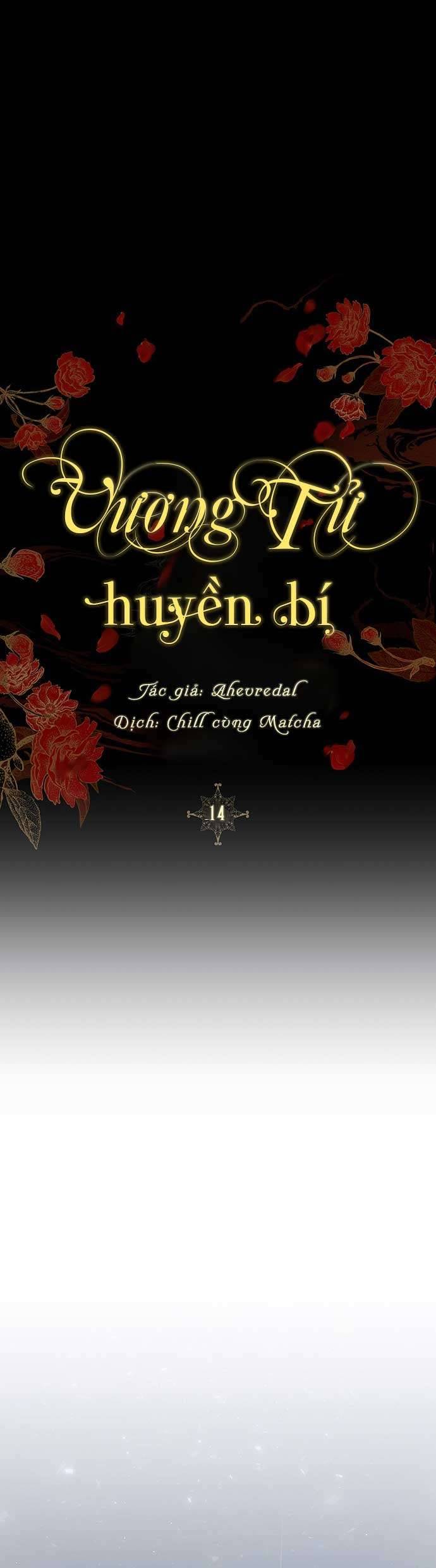 Vương Tử Huyền Bí Chapter 14 - Next Chapter 15