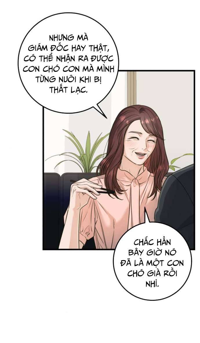 Tôi Nóng Lòng Muốn Chiếm Lấy Cô Ấy Chap 13 - Trang 3