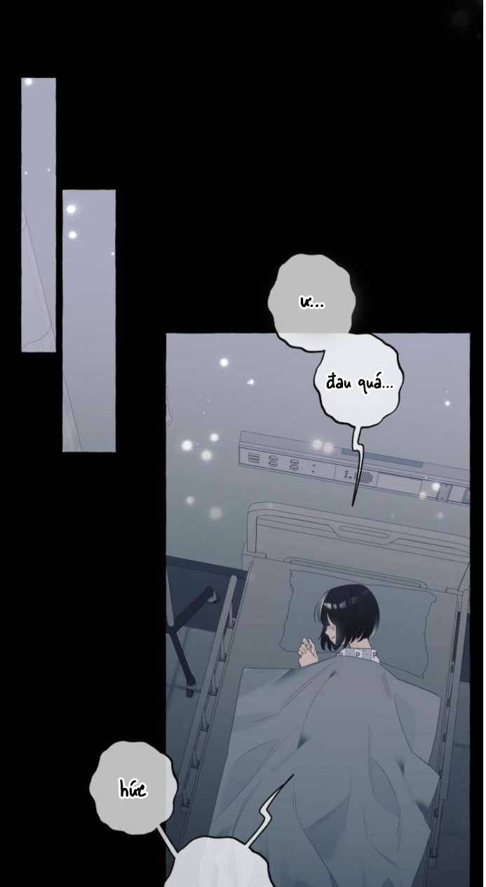 Tôi Tưởng Đó Chỉ Là Tiểu Thuyết Trọng Sinh Bình Thường Chapter 15 - Trang 4