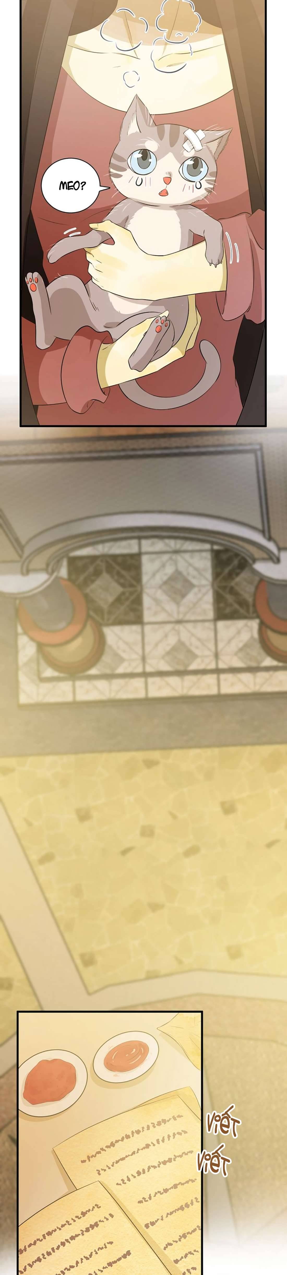 Thất Đại Kỳ Tích - Nước Mắt Bạo Quân Chap 21 - Trang 2