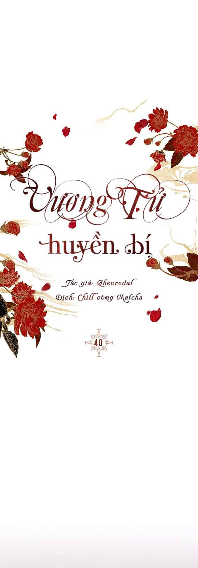 Vương Tử Huyền Bí Chapter 40 - Next Chapter 41