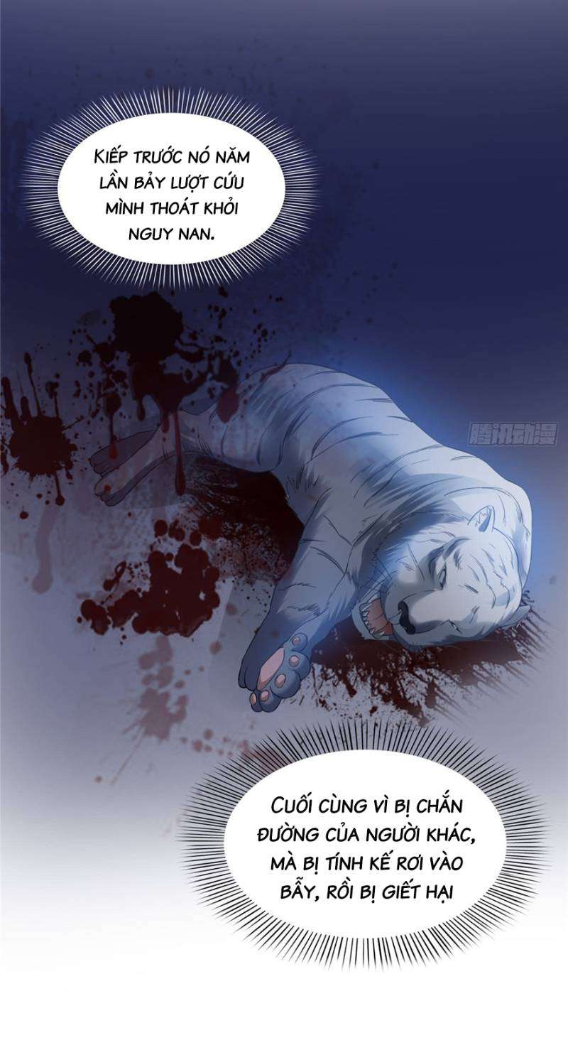 Hệt Như Hàn Quang Gặp Nắng Gắt Chap 46 - Trang 4