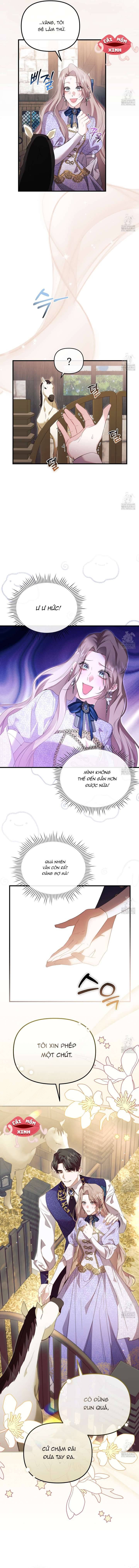 Sau Khi Trùng Sinh Chị Gái Muốn Cướp Lấy Vị Hôn Phu Của Tôi Chap 25 - Trang 4