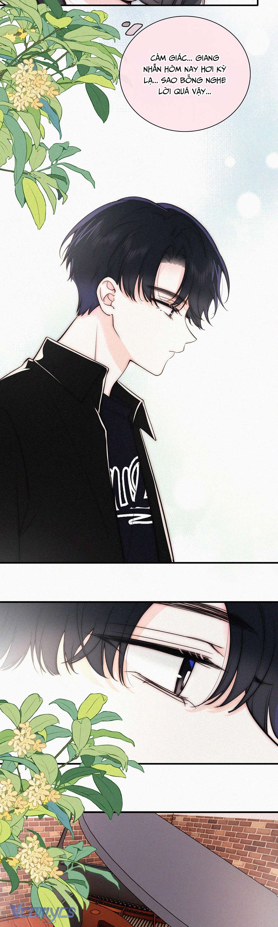 Một Mực Cưng Chiều Chap 85 - Trang 2