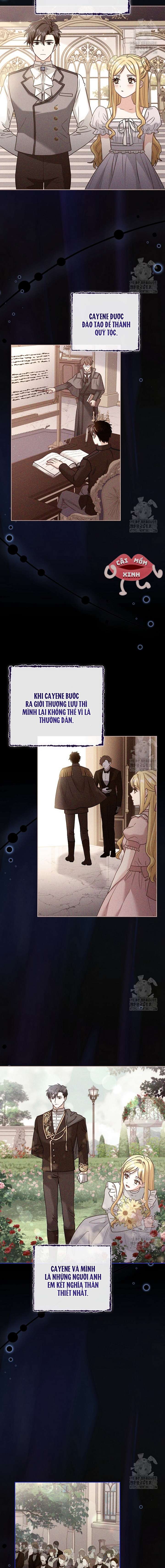 Tôi Phải Mau Chóng Kết Hôn Vì Thời Gian Có Hạn Chapter 21 - Trang 4