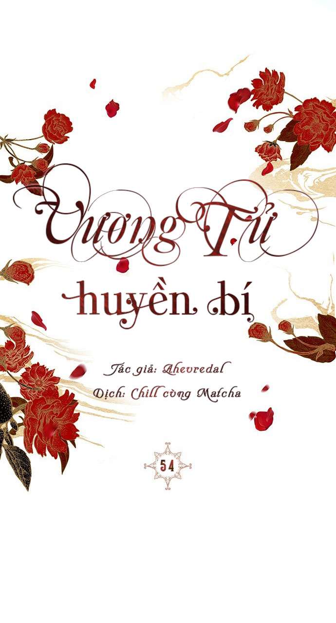 Vương Tử Huyền Bí Chapter 54 - Next Chapter 55
