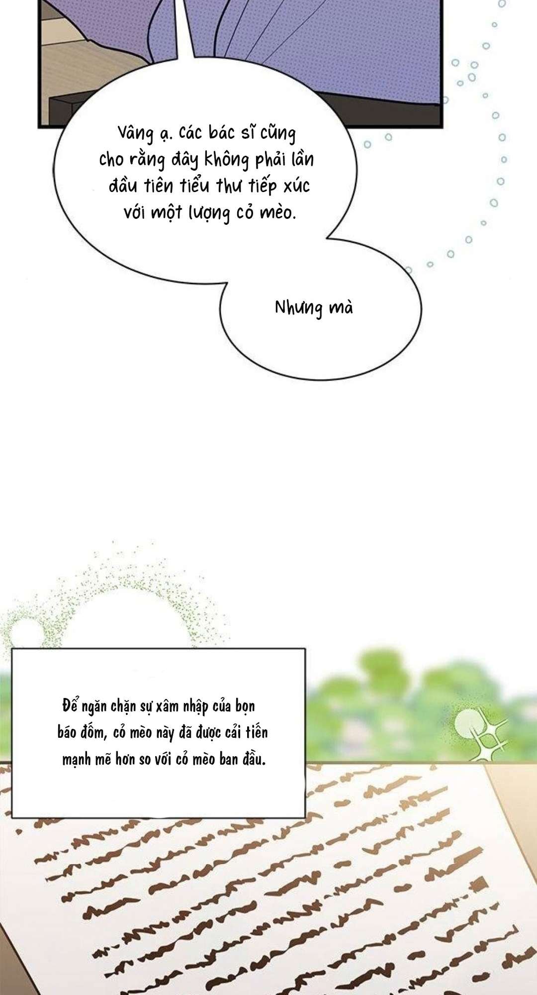 Mèo con được gia tộc sói nhận nuôi? Chapter 25 - Trang 3