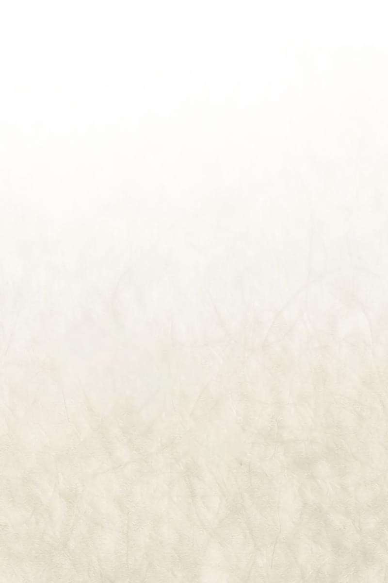 Tôi Là Minh Chứng Của Sự Thật Chap 11 - Trang 3