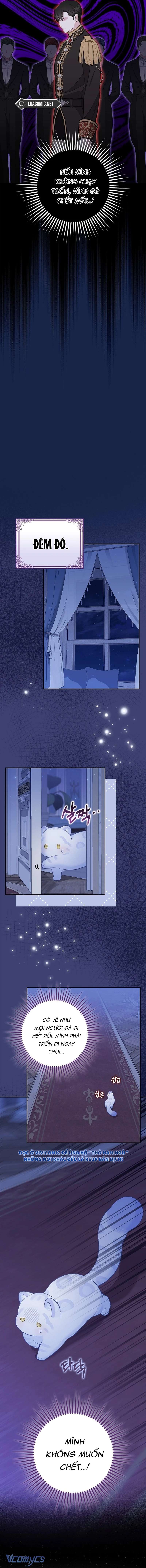 Bé Con Báo Tuyết Của Gia Tộc Báo Đen Chap 6 - Trang 4