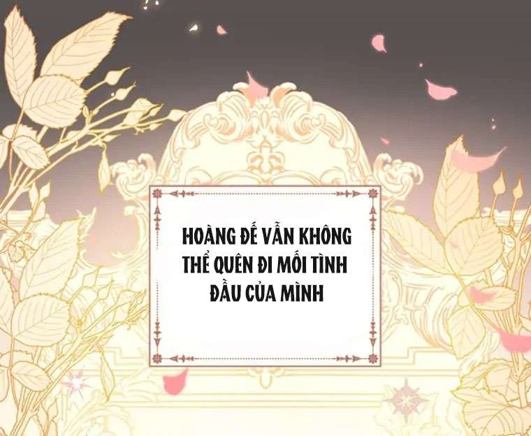 Tôi Đã Bảo Nữ Chính Đang Cải Trang Cơ Mà! Chap 20 - Trang 2