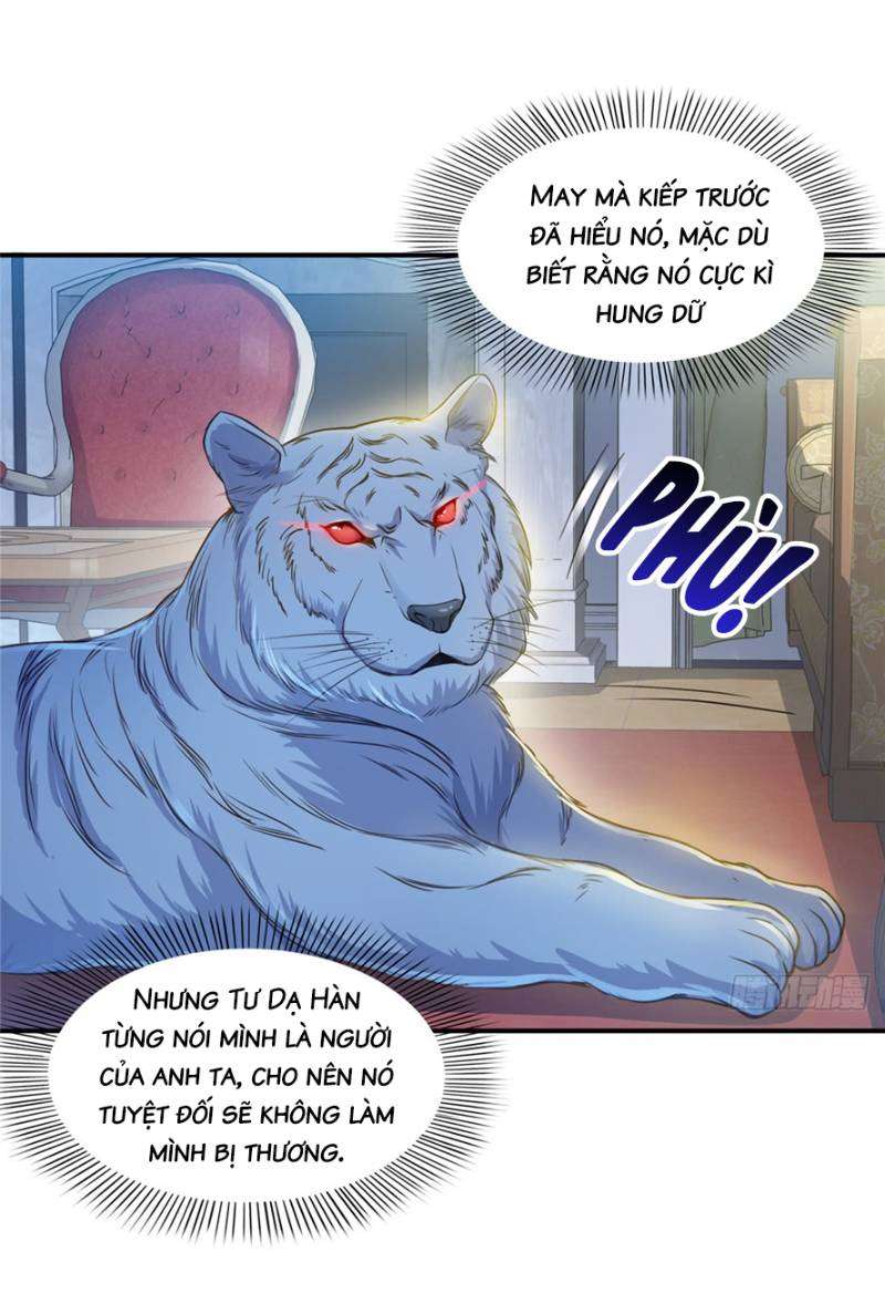 Hệt Như Hàn Quang Gặp Nắng Gắt Chap 47 - Trang 4