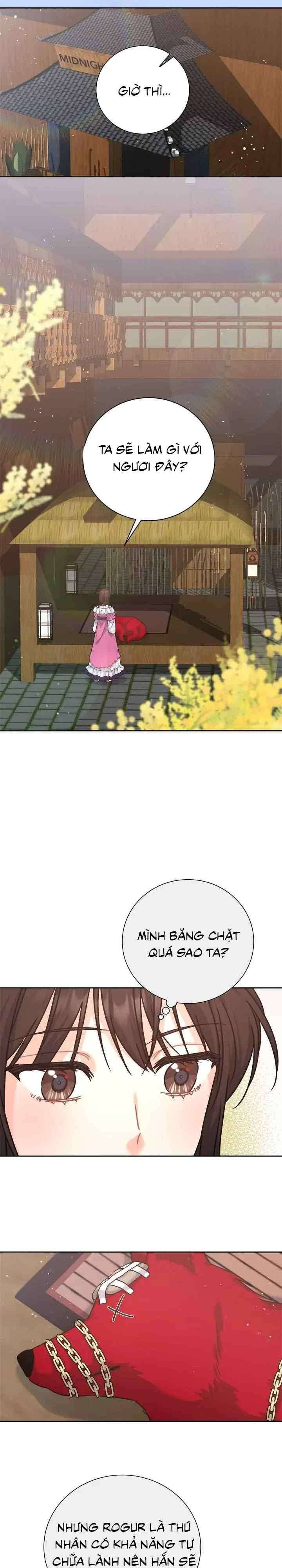 Du Khách Vào Ban Đêm Bí Ẩn Chapter 9 - Trang 4